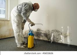 Professional Mold Inspection in Maud, TX